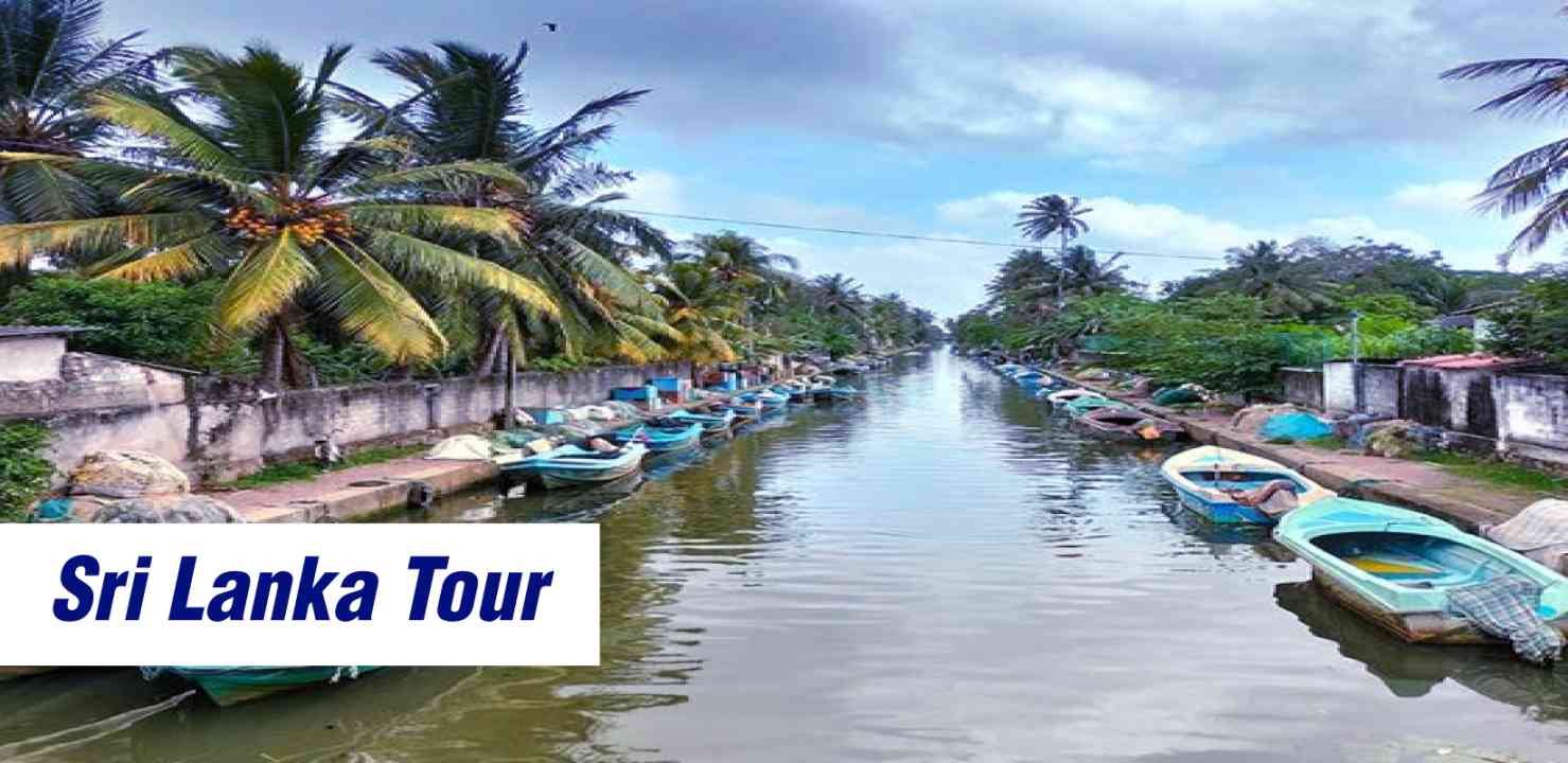 Pearls Of Sri Lanka