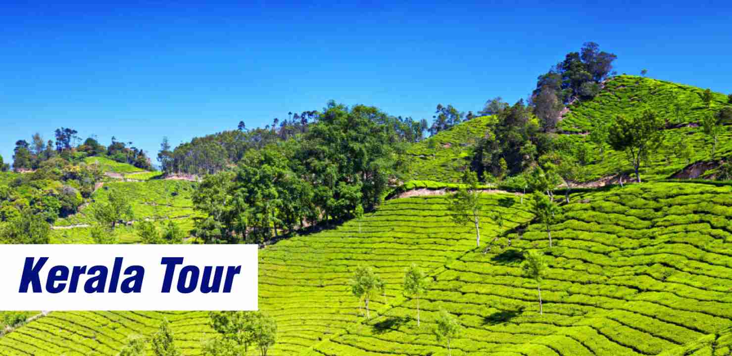 Exotic Kerala