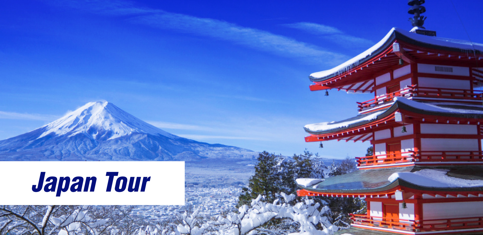 Japan 5 Days/ 4 Nights Tour Package
